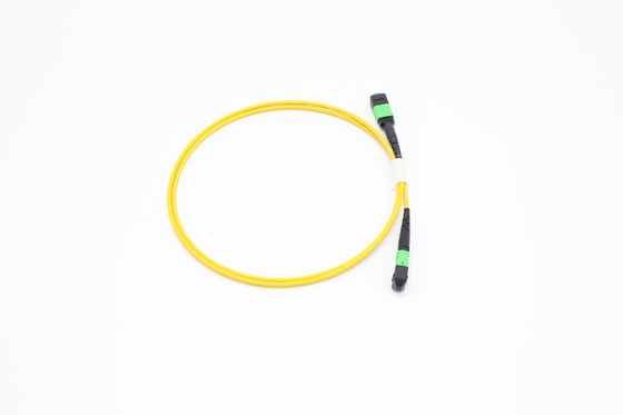 OM3/OM4 MPO Connector 12 Fibre MPO Trunk Cable 8/12/24F MTP MPO Cable per Data Center Room